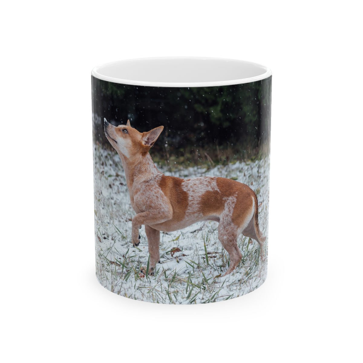 A photo printed as-is on a mug